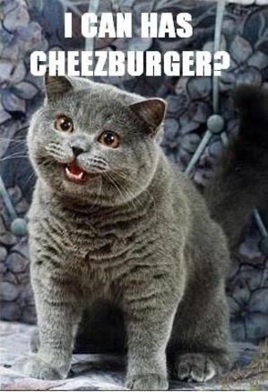 I can has cheeseburger?